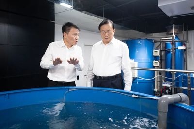 王忠林調(diào)研民營企業(yè)發(fā)展并召開座談會 深化技術(shù)推廣服務(wù)，激發(fā)民營經(jīng)濟新動能